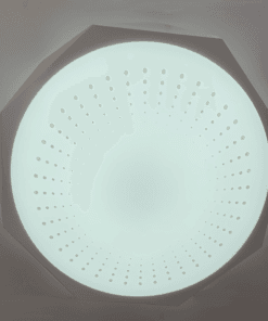 FLT LED Ceiling Light