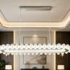 Modern Luxury Oval Crystal Linear LED9