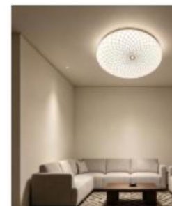 Round elegant patterned ceiling light